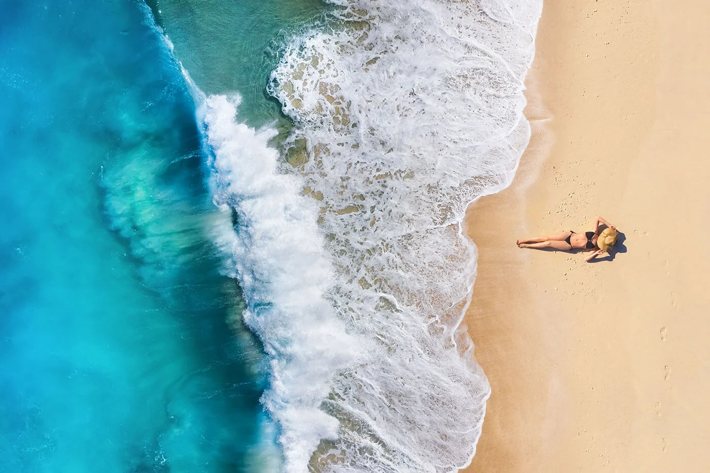 Praesent vitae ultrices